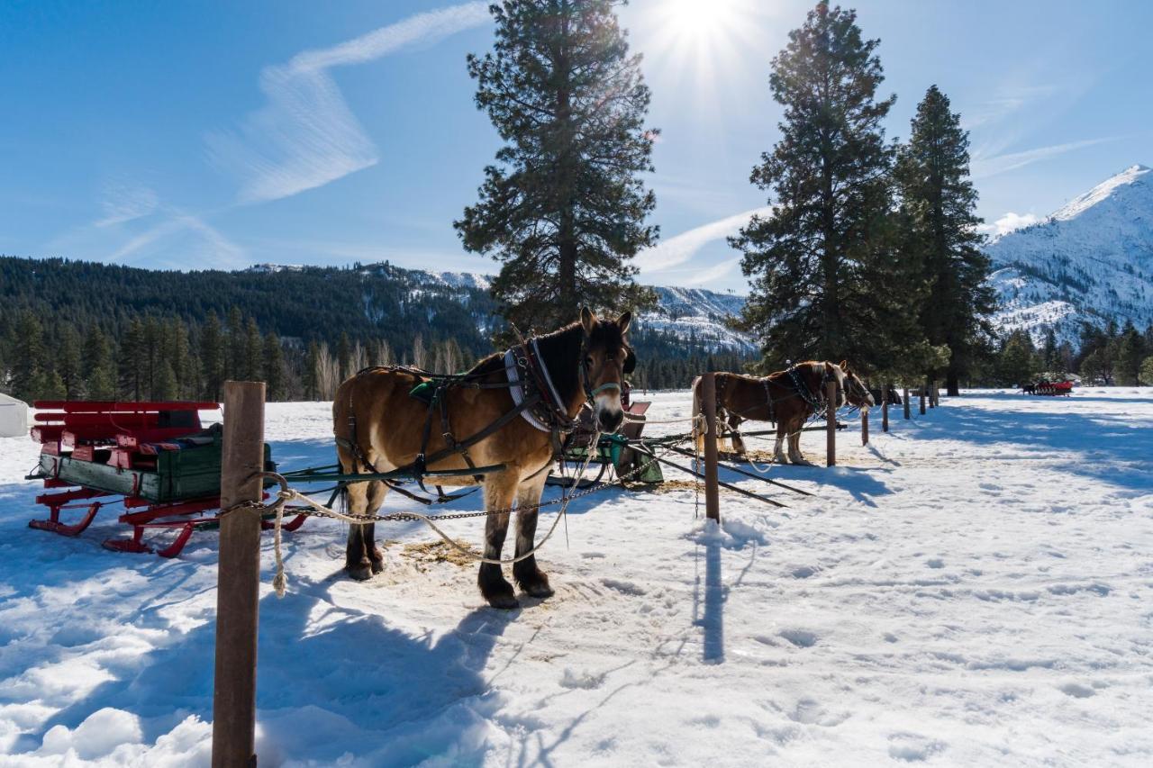 فيلا ليفينورثفي Icicle Road Haus المظهر الخارجي الصورة